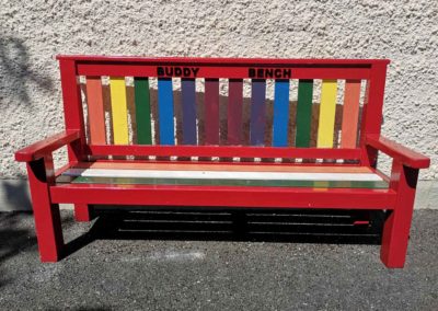 Culmore-NS-Buddy-Bench